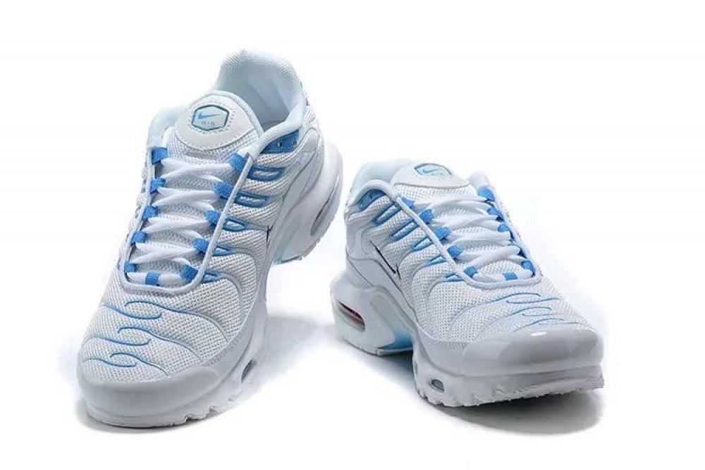 Air Max TN Plus "Blue Fury"