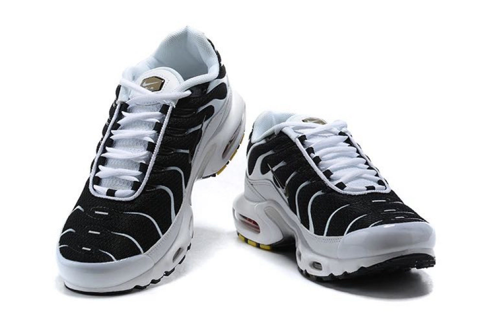 Air Max TN Plus "Killer Whale"
