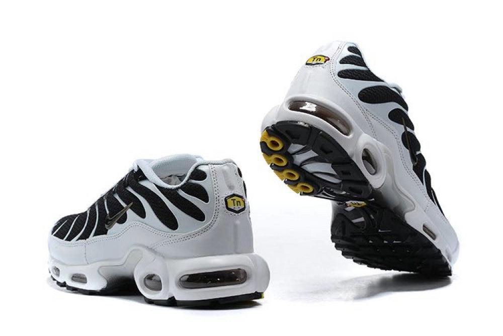 Air Max TN Plus "Killer Whale"
