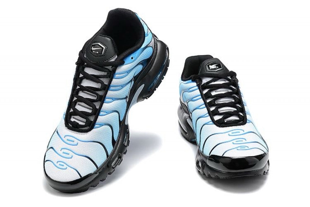 Air Max TN Plus "Neptune Blue"a